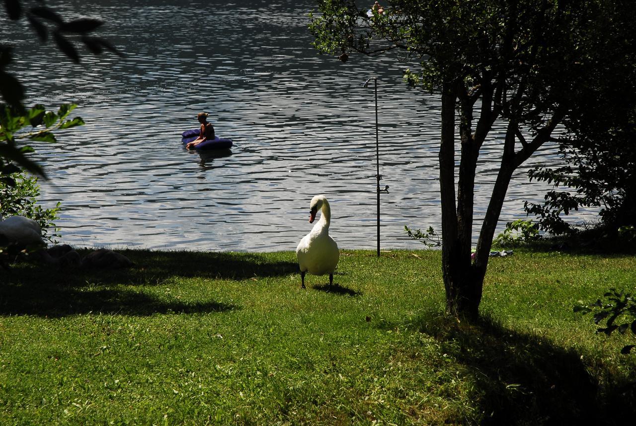 Camping Neubauer - Mobilheime Millstatt Extérieur photo